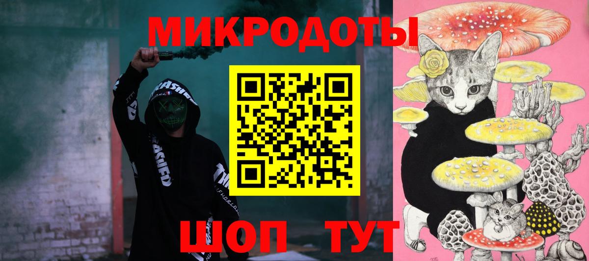 Псилоцибиновые грибы мицелий Владимир